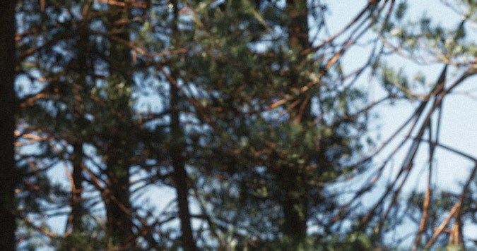 Mejores vehículos concepto del año