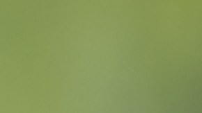 Cómo arreglar el aire acondicionado de mi carro