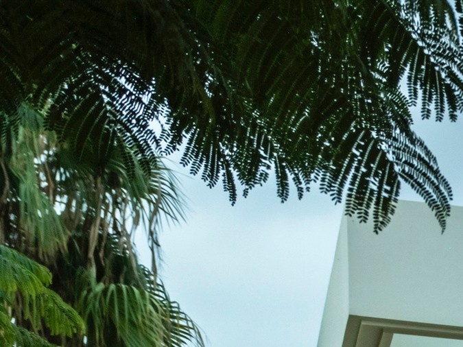 El Audi A6 sedán 2026 tiene un perfil aerodinámico que logra buena eficiencia de combustible.