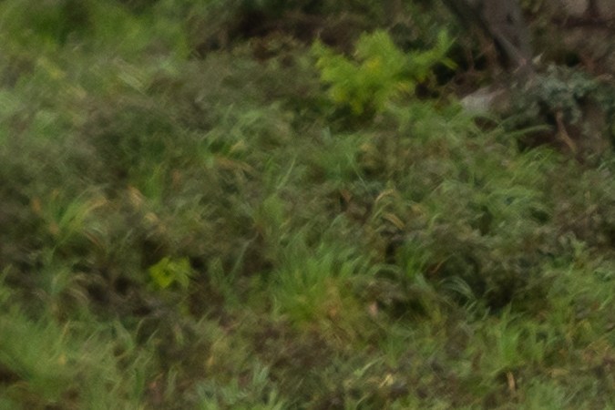 auto llevado al corralón