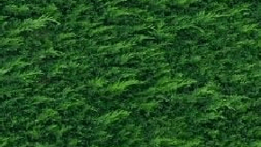 Cadillac Eldorado Elvis “Guitar Car” fue un diseño único en el mundo.