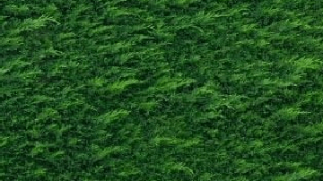 Cadillac Eldorado Elvis “Guitar Car” fue un diseño único en el mundo.