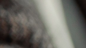 ¿Carro automático o manual? Descubre cuál consume menos combustible