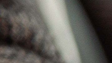 ¿Carro automático o manual? Descubre cuál consume menos combustible