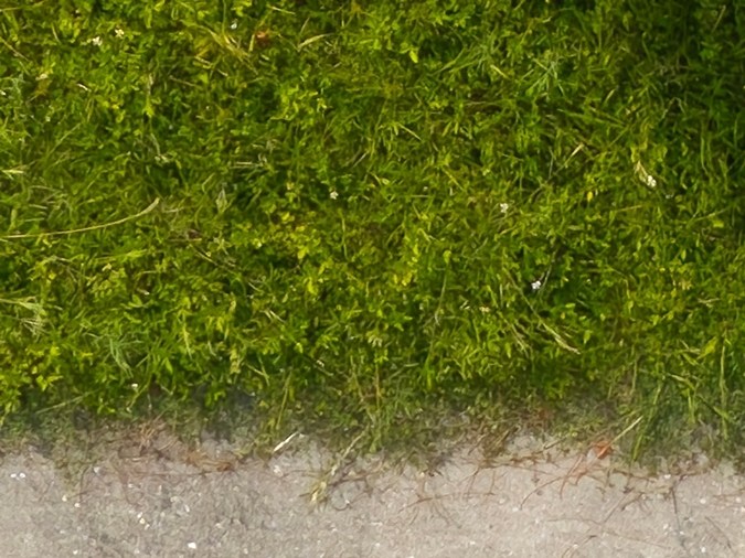 qué hacer si remolcan tu auto en las vegas