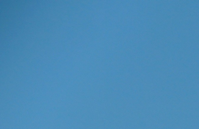 placa de carro en miami