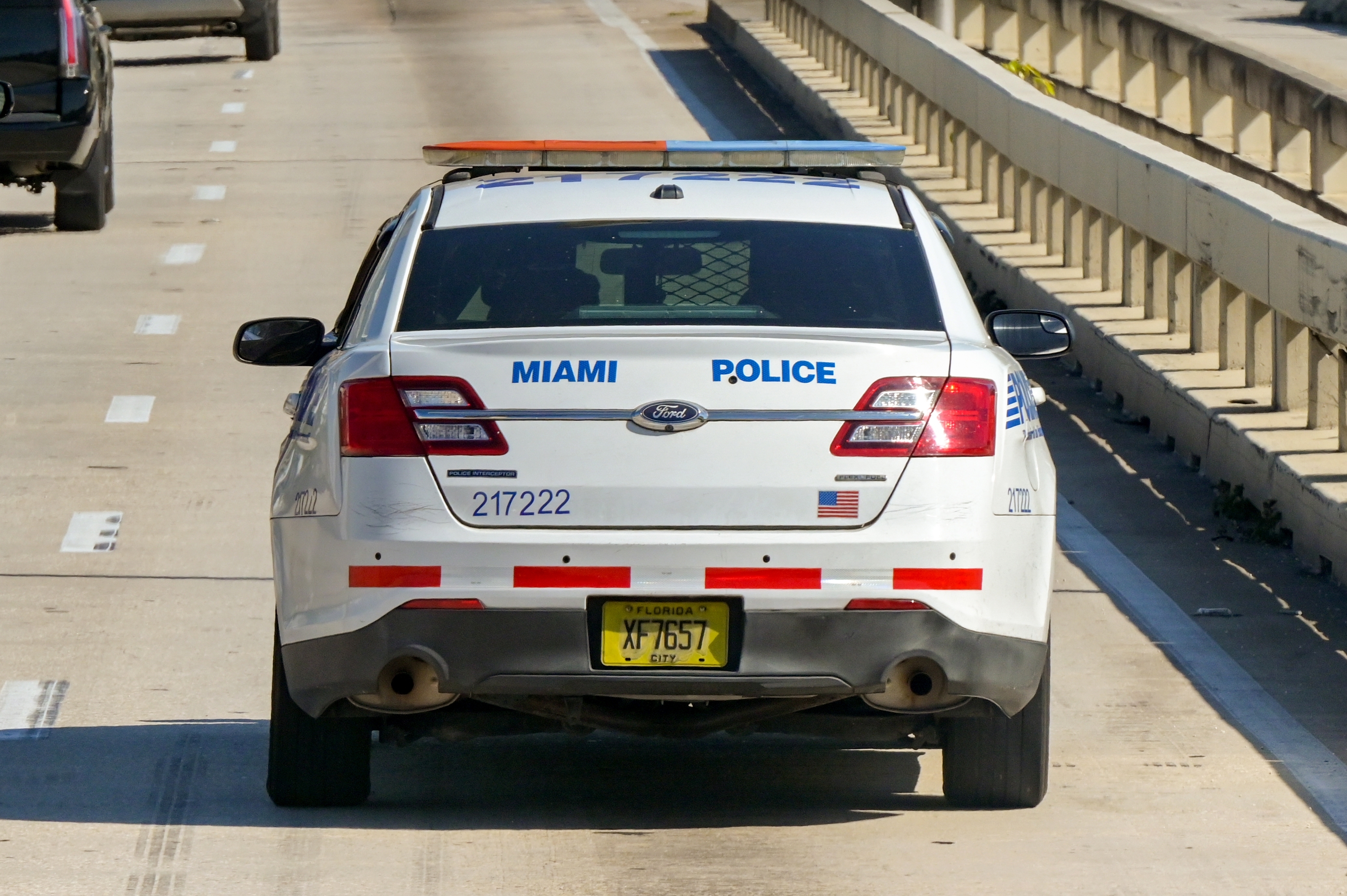 placa de auto miami