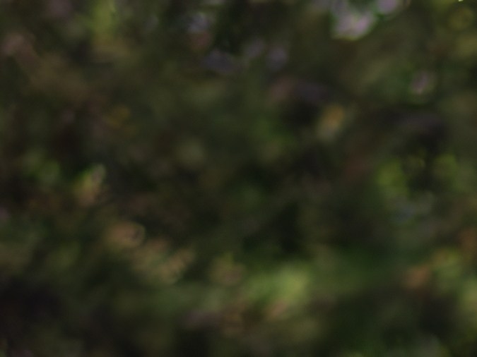 circunstancias especiales al manejar en New York