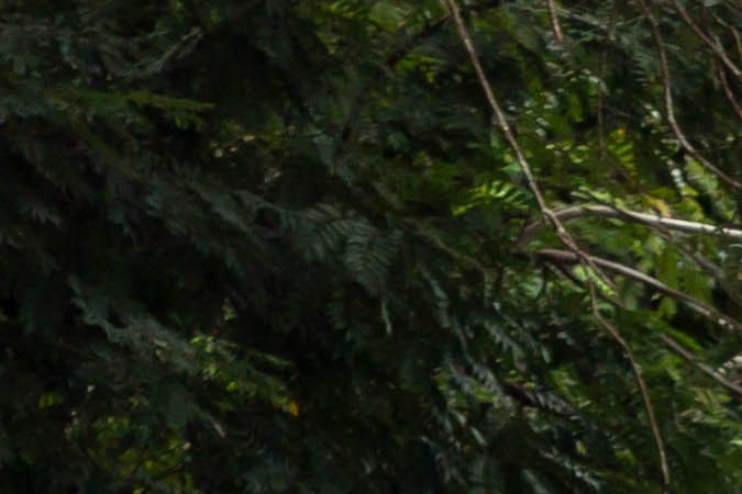 emergencias mientras conduces en Estados Unidos