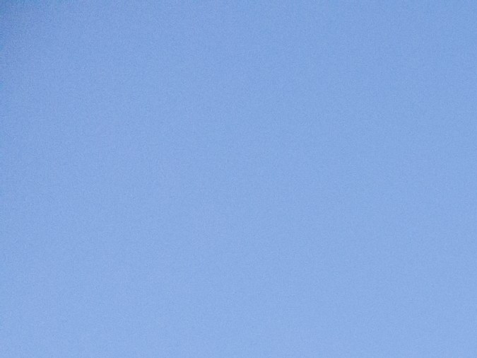 dónde se tramita la licencia estándar y la real ID