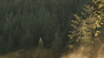 La Ford Explorer 2025 tuvo un fuerte retiro con más de 24 mil unidades.