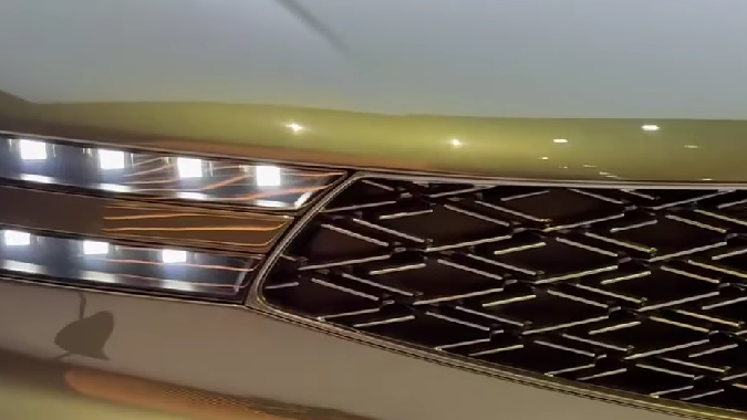 Las parrillas de Genesis para los conceptos X son elaboradas de forma exclusiva.