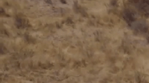 La Hyundai Santa Fe Hybrid 2025 tiene una gran eficiencia de combustible.