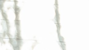 Nuevas leyes de asientos infantiles en EE.UU.