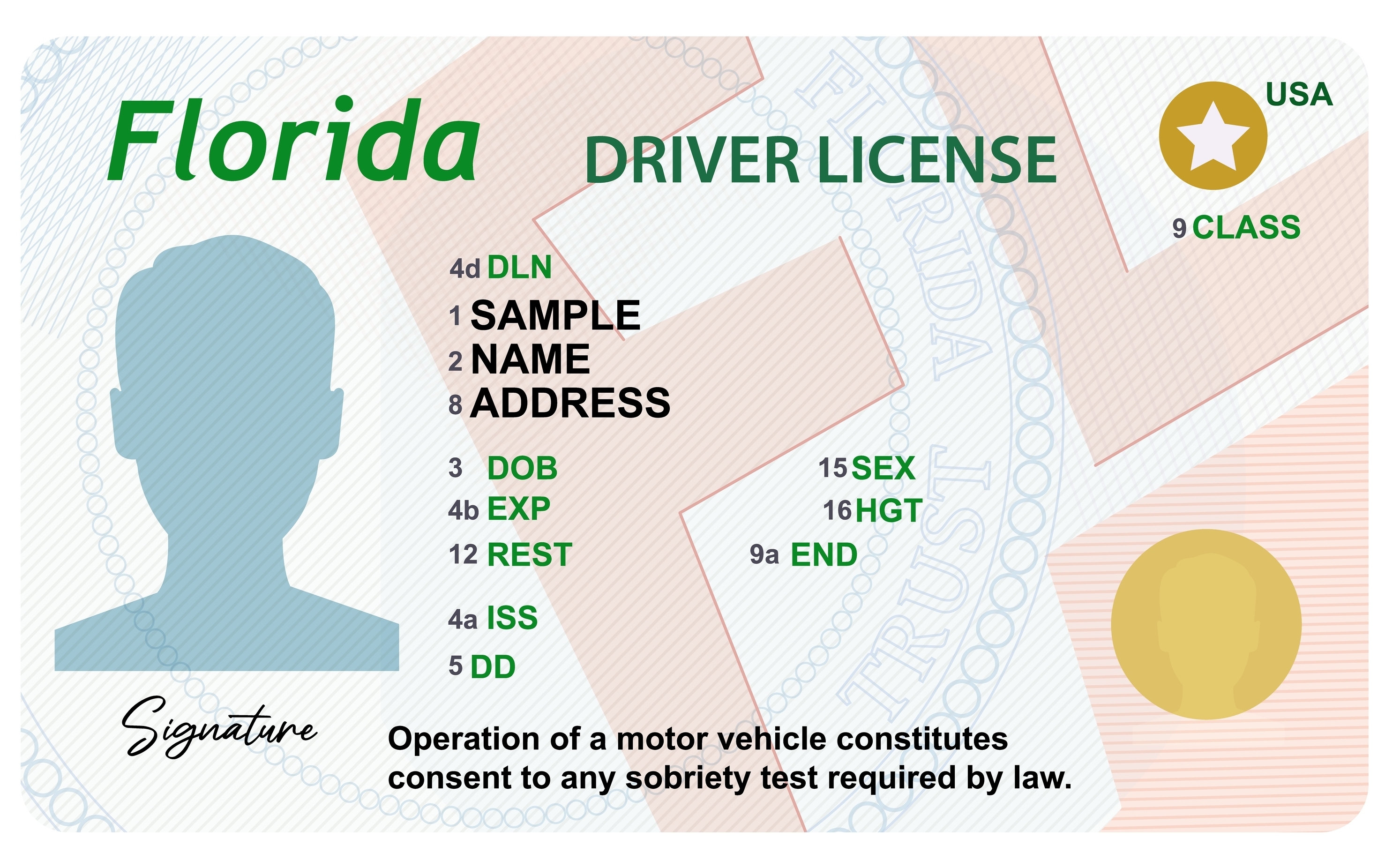 Examen teórico de conducir en Florida: Todo lo que necesitas saber