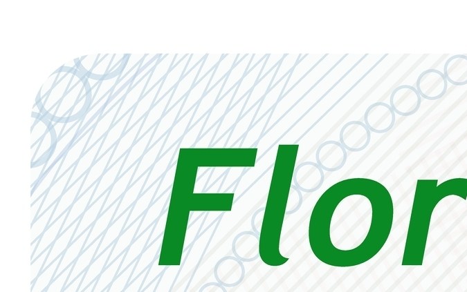 Examen teórico de conducir en Florida: Todo lo que necesitas saber