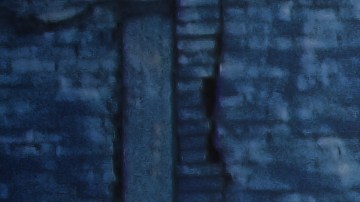 camiones de carga en venta