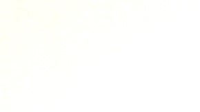 Las multas de tránsito más comunes en EE.UU.