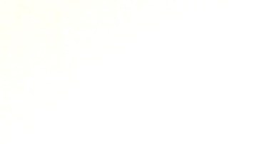 Las multas de tránsito más comunes en EE.UU.