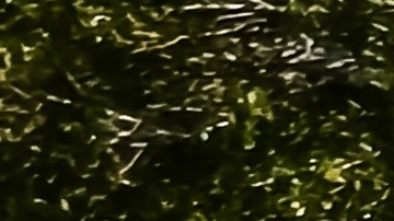 cuál es el precio de un cadillac clásico