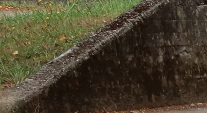 ¿qué es la señal de bump?