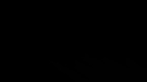 técnicas de aceleración