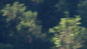 El próximo Tesla será más barato y pudiera estar basado en el Model 3.