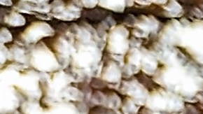 Virginia busca imponer reguladores de velocidad en los autos de infractores.