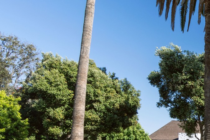 Volkswagen y Uber se unieron para lanzar una flota autónoma en Estados Unidos.