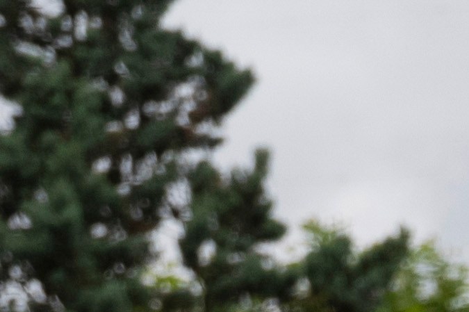 Autos eléctricos Audi con beneficios