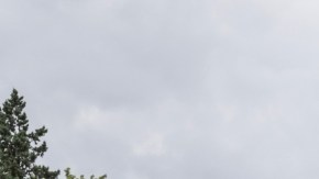 Carga rápida gratis con Electrify America