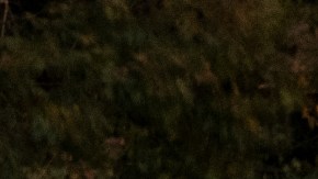 Toyota Crown se reinventa: solo híbridos y eléctricos en EE.UU.