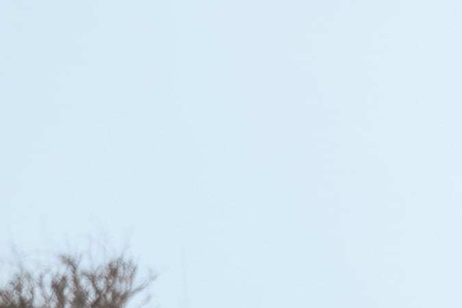 Top 5 camionetas híbridas más económicas en Estados Unidos