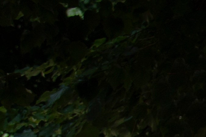 Lo mejor del Concorso d’Eleganza Villa d’Este 2025