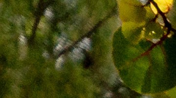 Aston Martin DB12 Volante Palm Beach Edition es ideal para el sur de Florida.