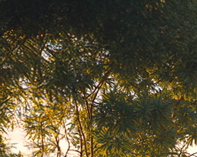 Audi e-tron GT quattro 2026 es el auto de entrada a la línea e-tron GT.