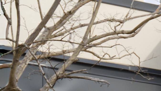 Bentley se ha destacado por autos de lujo y poderosos motores.