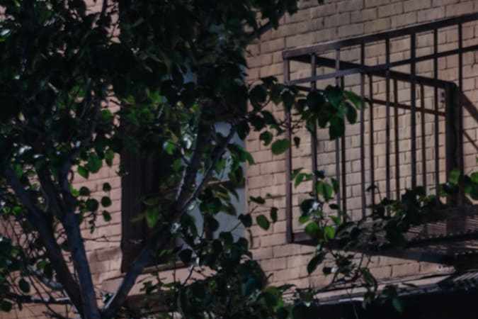 Tesla revoluciona la movilidad con robotaxis para empleados en California