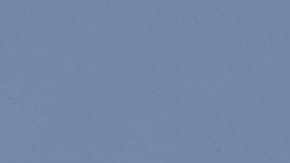 Retiro masivo de la Ford Expedition