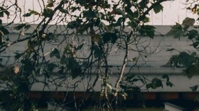 Jaguar I-PACE autónomo será fabricado en EE.UU.