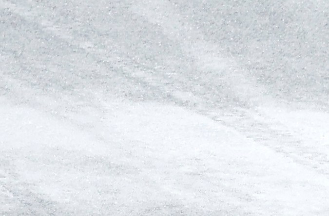 Monoplazas de F1 en el Drivers Parade construidos con Lego.