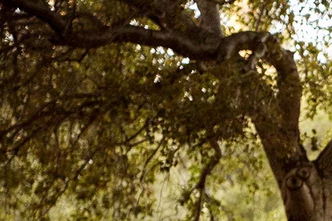 Descubre el Rivian R2: tecnología y precio competitivo en 2026