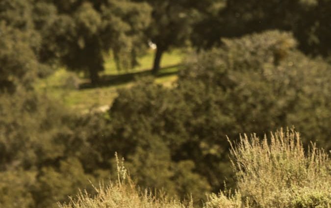 Rivian R2 mantiene su precio en $45,000