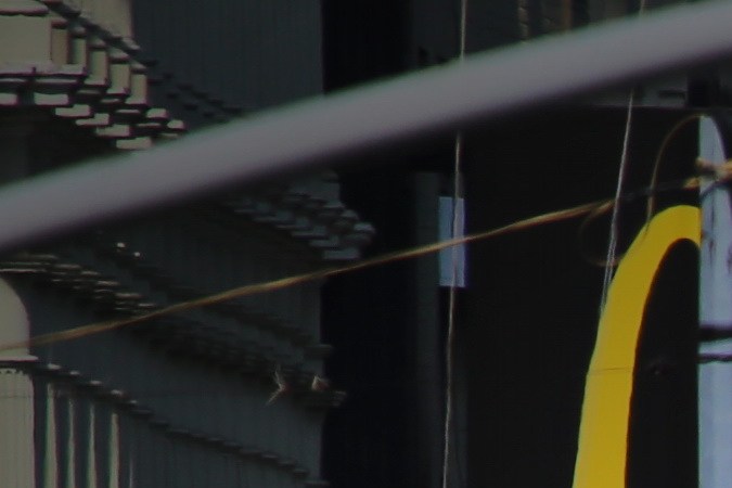 EE.UU. elimina regla sobre emisiones de CO₂ en carreteras