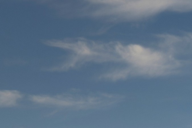 ¿Por qué VW pausó las ventas del ID. Buzz en EE.UU.?