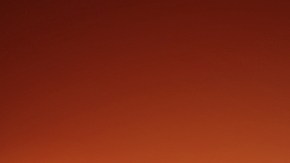 Los aceites de alto rendimiento no deben usarse en vehículos de calle.