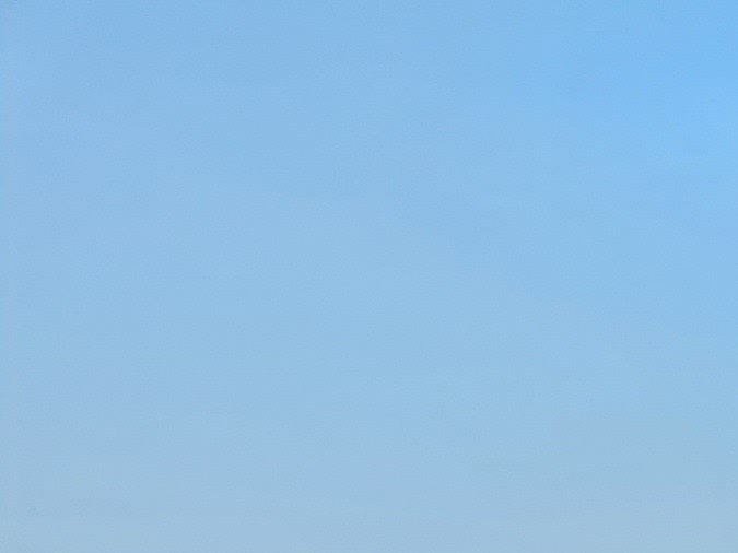 Los aditivos para gasolina son necesarios para tener un rendimiento óptimo en el auto.