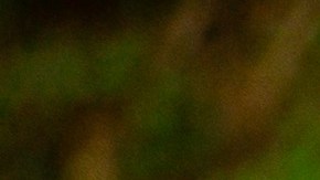 Los alerones son comunes en autos deportivos.