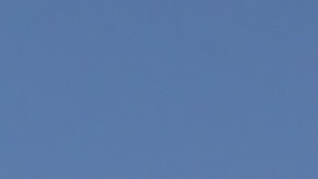 Los autos deportivos ofrecen una conducción divertida y potente.