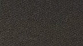 qué botones ocultos tiene el vehículo